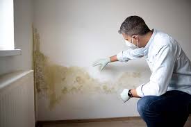 Biohazard Mold Removal in Dos Palos, CA